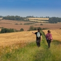 Image representing Value of Tourism in East Lindsey hits £699million