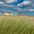 Image representing Local Development Order for the Coast to support businesses in economic recovery