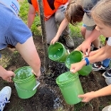 Tree watering by Tree Trust Tree watering by Tree Trust