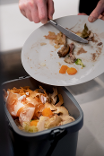Food bin Food bin