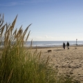 Image representing Latest research shows value of tourism has increased by £50m in East Lindsey